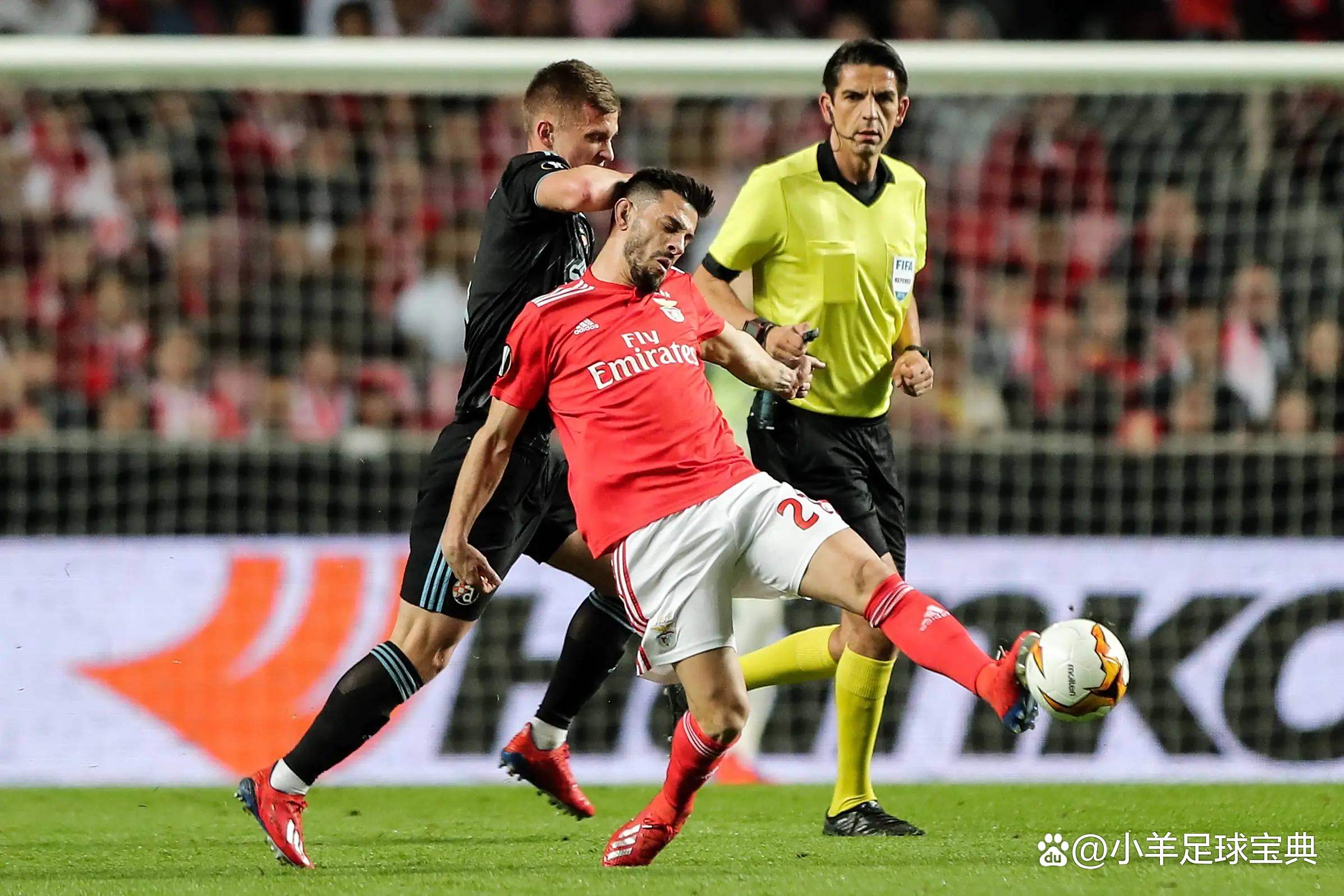 lck平台官网 -包含转会期费耶诺德临场应变：欧冠节点到来，话题不断，医务组通报恢复的词条